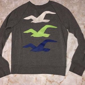 Hollister California sweater